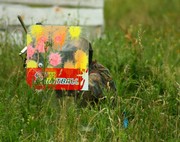 paintball flightbox