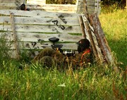 paintball flightbox
